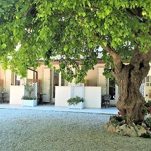 Il Gelso di Sofia B&B